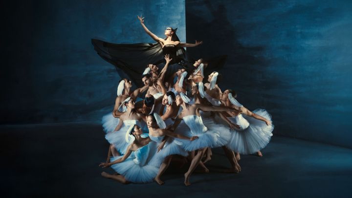 Swan Lake - Introdans