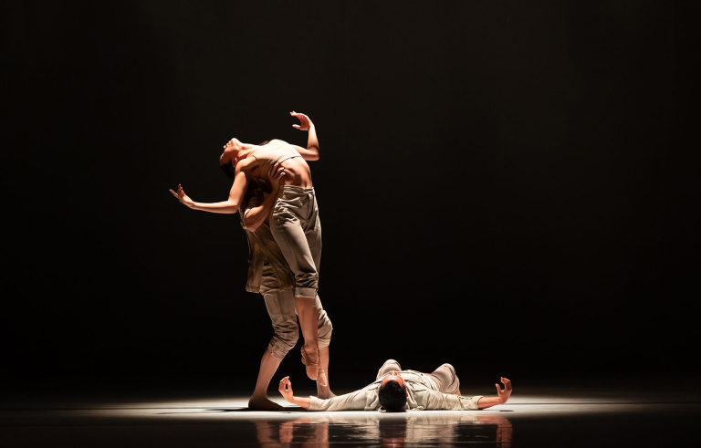 Introdans - LARBI - Fall