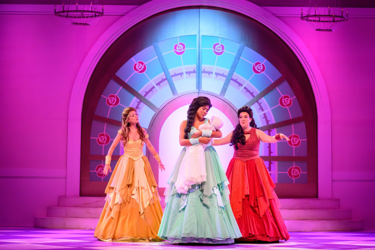 Doornroosje De Musical