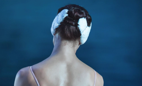 Het Zwanenmeer - De romantische balletklassieker