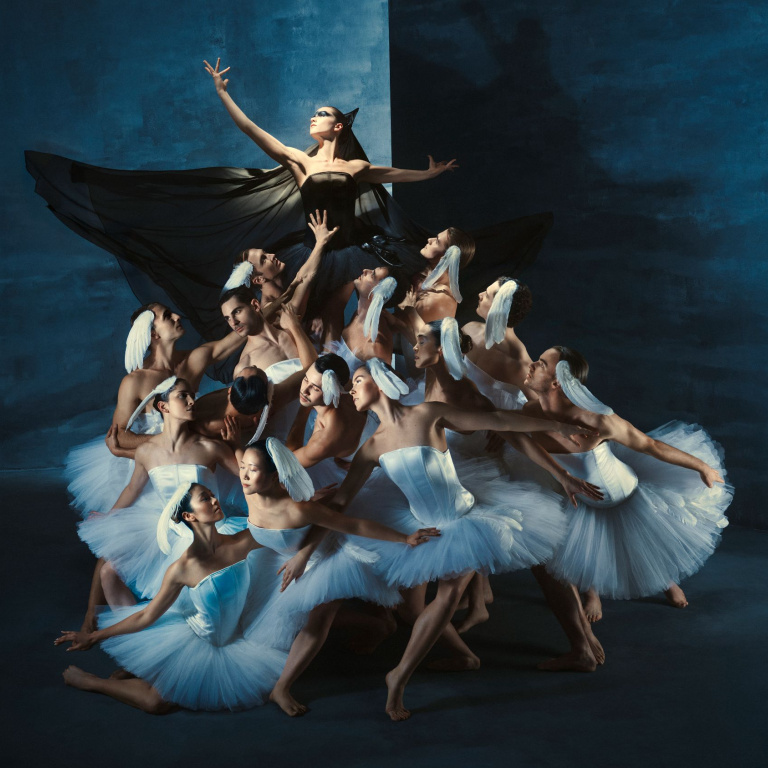 Introdans - Swan Lake
