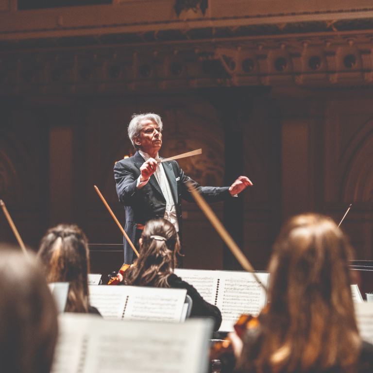 24-25 Series Philzuid Passe Partout