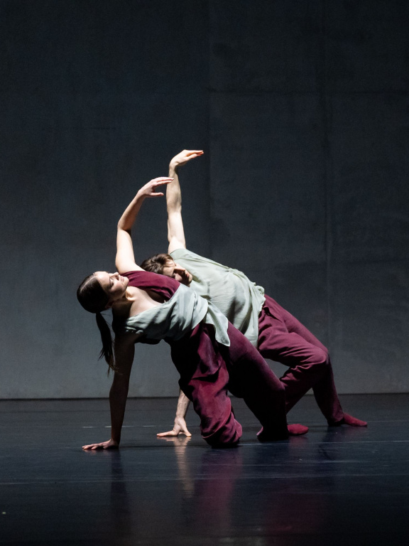 Korzo - DansClick #27