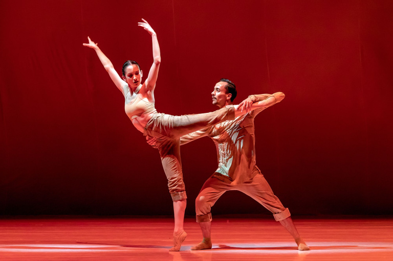 Introdans - LARBI - Fall