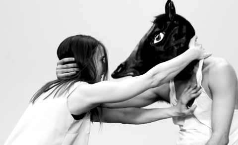 03.03.2023 De Dansers - Hold Your Horses 14+